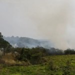 Trabalhador e brigadista morrem em incêndios em São Paulo