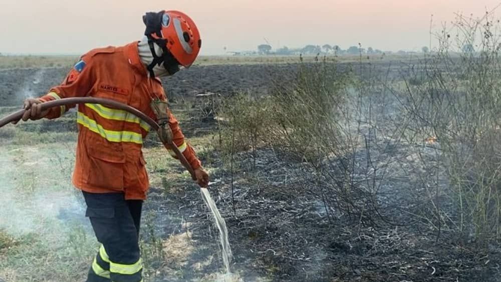 Pantanal bate recorde de incêndios para novembro, com 2,6 mil focos ativos