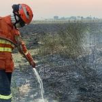 Pantanal bate recorde de incêndios para novembro, com 2,6 mil focos ativos