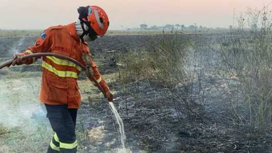 Queimadas no Pantanal dispararam em outubro e se intensificaram em novembro