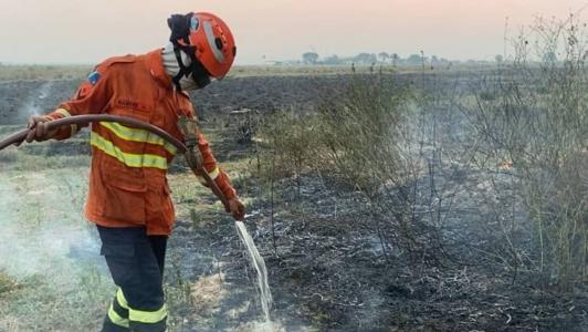 Queimadas no Pantanal dispararam em outubro e se intensificaram em novembro