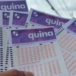 Quina: concurso 6530 pode pagar R$ 4,5 milhões; veja as dezenas sorteadas