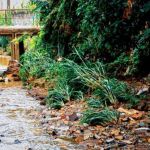 Moradores do Barreiro reclamam de mau cheiro e suspeitam de descarte de resíduo industrial