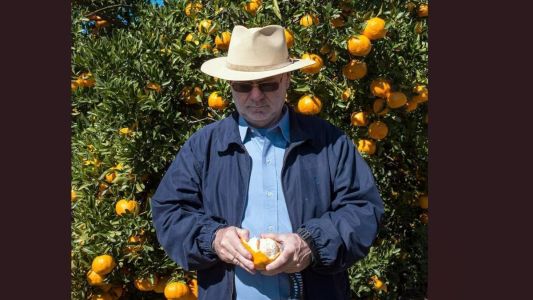 Rafael terá um faturamento muito pequeno e ainda terá que manter os investimentos para a próxima safra