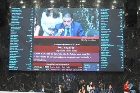 PEC que libera concessão de terras públicas mineiras a empresas estrangeiras é aprovada em definitivo na ALMG