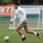 Contra o Fortaleza, Veiga pode atingir marca histórica na artilharia do Palmeiras