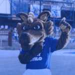 Raposão completa 21 anos: relembre histórias e evolução de mascote do Cruzeiro