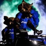 Cruzeiro apresenta novos Raposão e Raposinho; veja comparativo