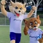 Cruzeiro falta consultar o torcedor!