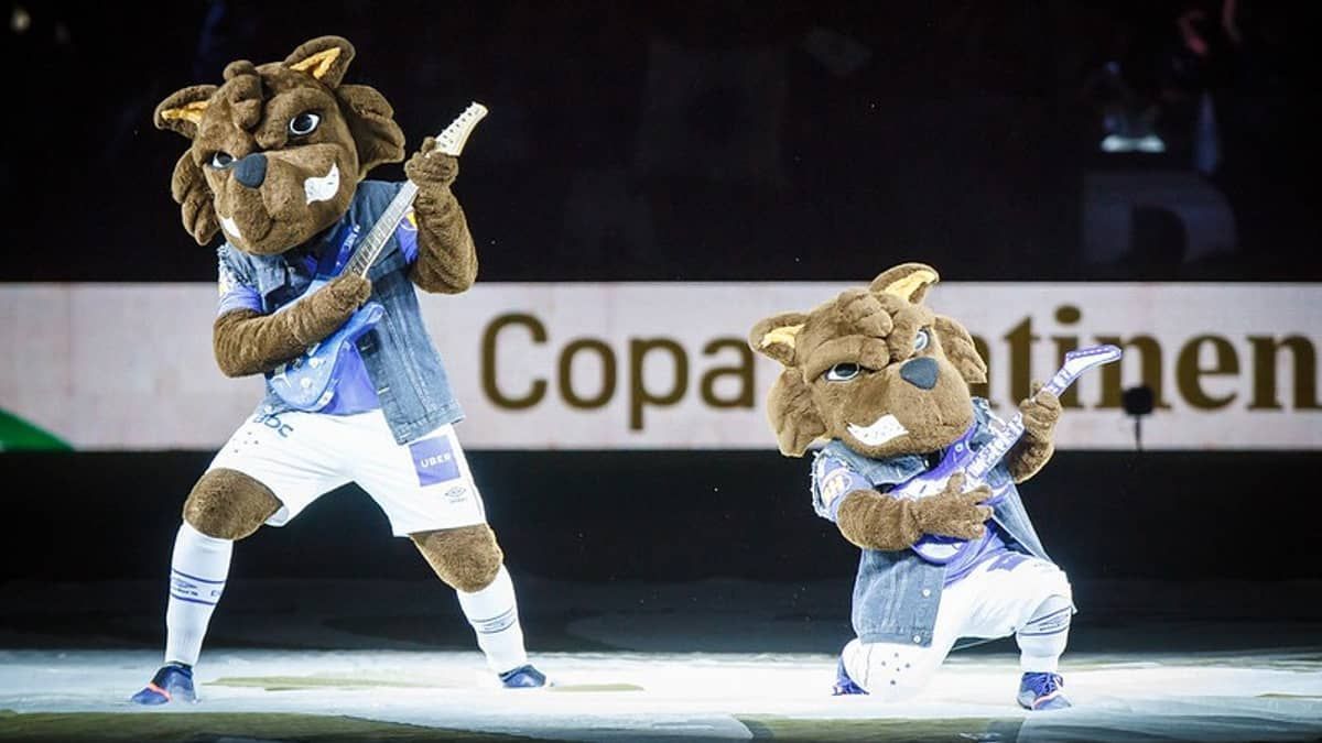 Cruzeiro: veja 20 fatos marcantes na história do Raposão e Raposinho