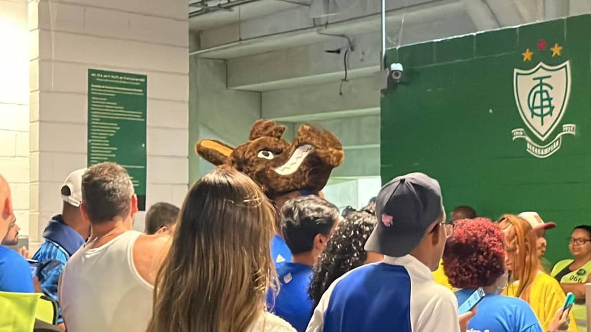 Raposão roda roleta e entra ‘com o povão’ para ver Cruzeiro x Náutico