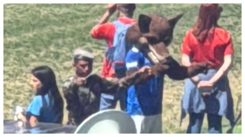Cruzeiro: Raposão 'rouba a cena' e vira maestro de orquestra no Mineirão