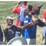 Cruzeiro: Raposão 'rouba a cena' e vira maestro de orquestra no Mineirão