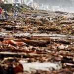 Estados Unidos: tempestades deixam 16 mortos na Califórnia