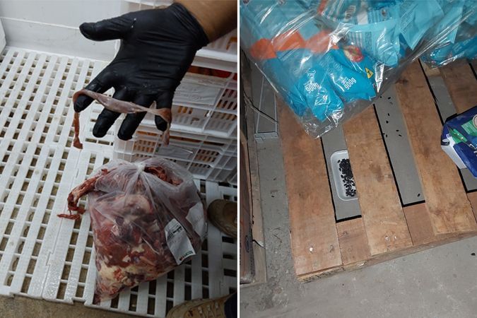 Supermercado é interditado em Minas por infestação de ratos e venda de carne estragada