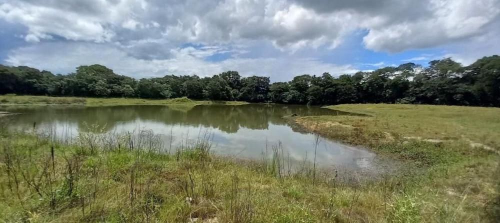 O que acontece após o fim de uma mina? Feam aponta novos usos para áreas mineradas em Minas Gerais