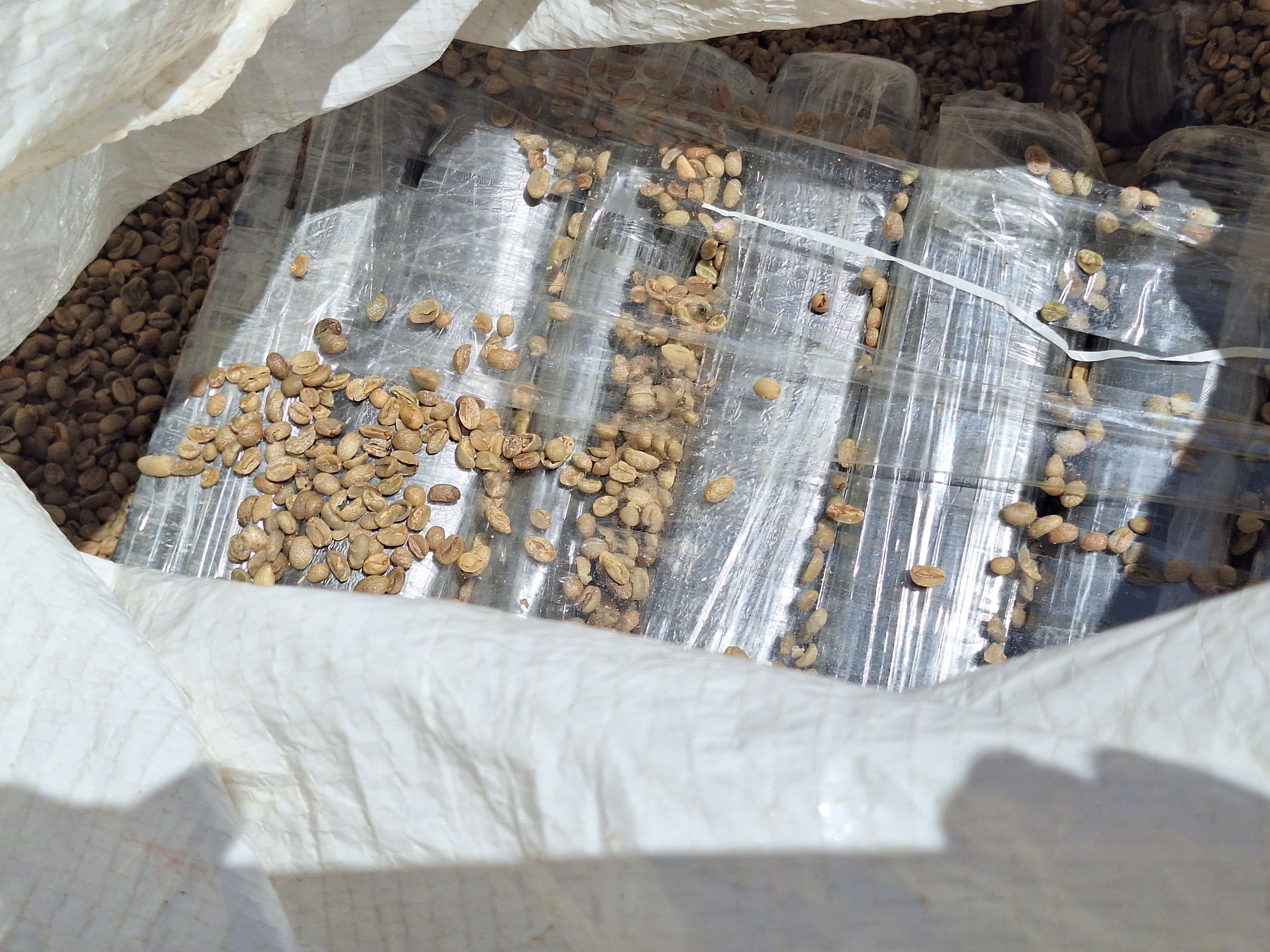 Vídeo: Receita Federal apreende 815 kg de cocaína em carga de café no Porto de Santos
