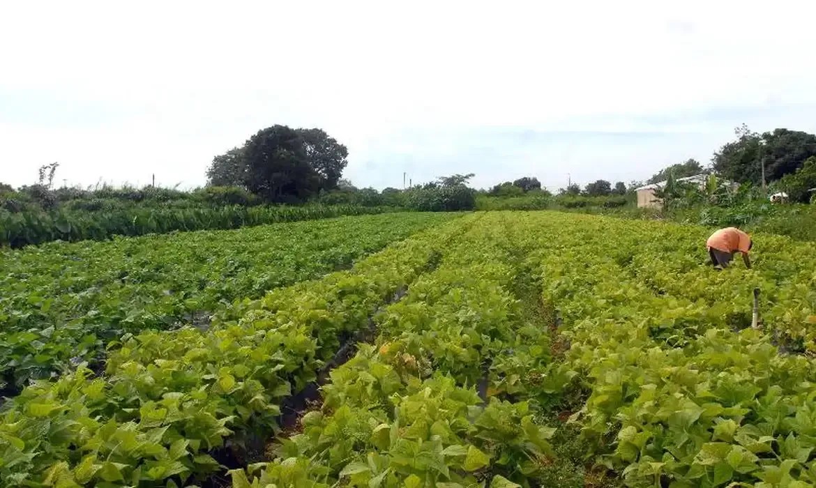 Portaria para ampliar terrenos de Reforma Agrária sem gastar recursos públicos fica pronta até abril