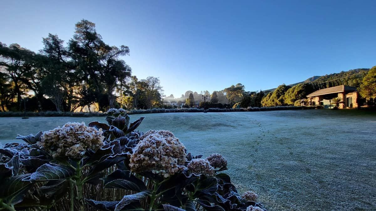 Fotos: Monte Verde, no Sul de Minas, amanhece com geada e registra -0,1 °C, temperatura mais fria do ano