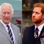 Príncipe Harry está 'destruindo' relações com a Família Real após esnobar rei Charles III, diz jornalista