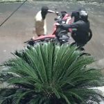Quadrilha de furto de motos: PM prende suspeito flagrado em vídeo em Betim