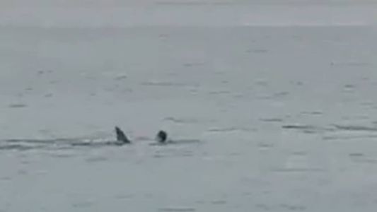 Repercute nas redes sociais um vídeo do momento do ataque