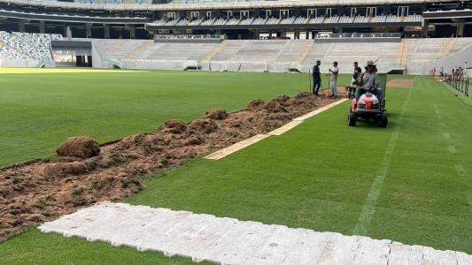Replantio do gramado da Arena MRV