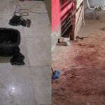 Criança morta por cachorro em Betim: segundo cão envolvido nos ataques está preso em banheiro