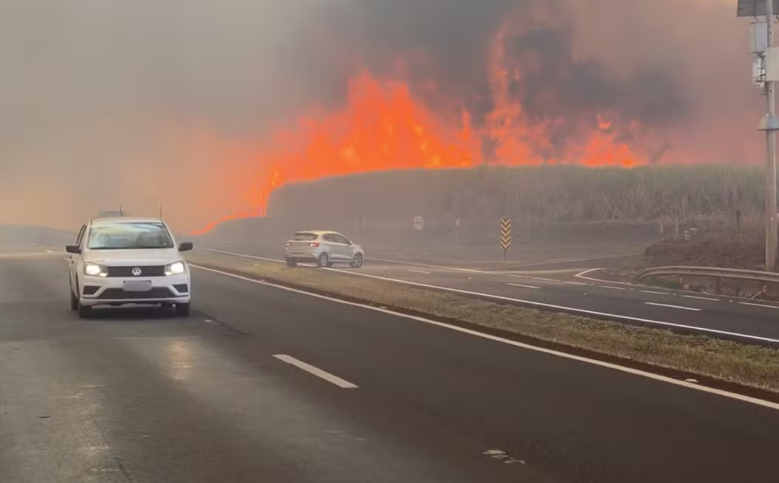 Incêndios provocam situação de calamidade pública em Ribeirão Preto e mal-estar na população; entenda