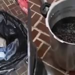 Fiscais encontram 50kg de comida estragada e fecham restaurante em Minas