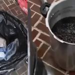 Fiscais encontram 50kg de comida estragada e fecham restaurante em Minas