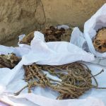 Múmia adolescente de 800 anos é encontrada por pesquisadores em Lima, no Peru