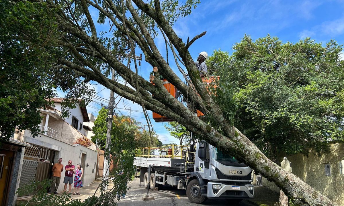 Energia elétrica e abastecimento de água ficam comprometidos após chuvas em Juiz de Fora