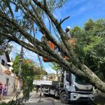 Energia elétrica e abastecimento de água ficam comprometidos após chuvas em Juiz de Fora