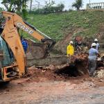 Trabalho de retirada de árvore deve mudar trânsito em bairro de Juiz de Fora