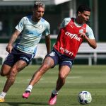 Palmeiras se reapresenta e começa preparação para Copa do Brasil
