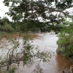 Rio Paraopeba atinge nível de alerta em Brumadinho após fortes chuvas