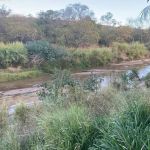 O deserto: como driblar os rios secos 