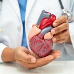 Risco cardiovascular causa declínio mental mais cedo em homens, aponta estudo