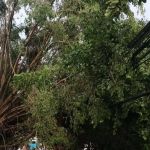 Vendaval pode atingir dezenas de cidades de Minas até a tarde deste sábado; veja a lista 