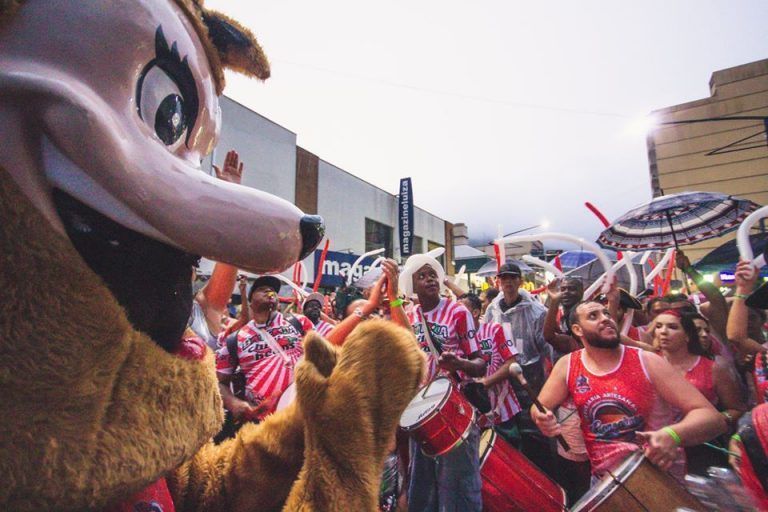 Bloco do Urso e Bloco do Pijama agitam o Sul de Minas no Carnaval; confira atrações na região