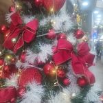 Bertha Maakaroun | Qual a probabilidade de haver brigas sobre política na ceia de Natal deste ano?