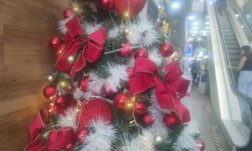 Árvore de natal