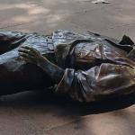 Polícia analisa imagens para identificar quem derrubou estátua de Roberto Drummond em BH