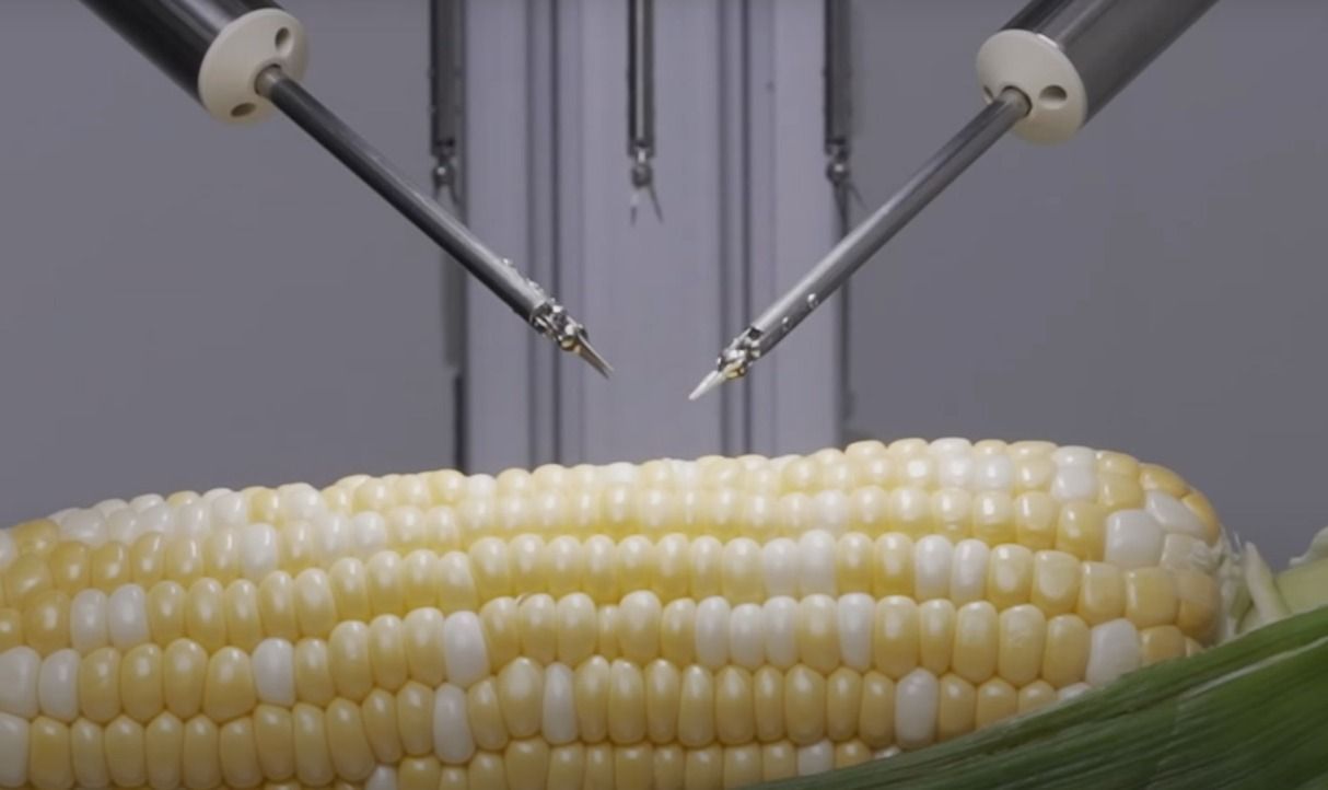Sony lança robô capaz de fazer uma microcirurgia em um grão de milho; veja vídeo