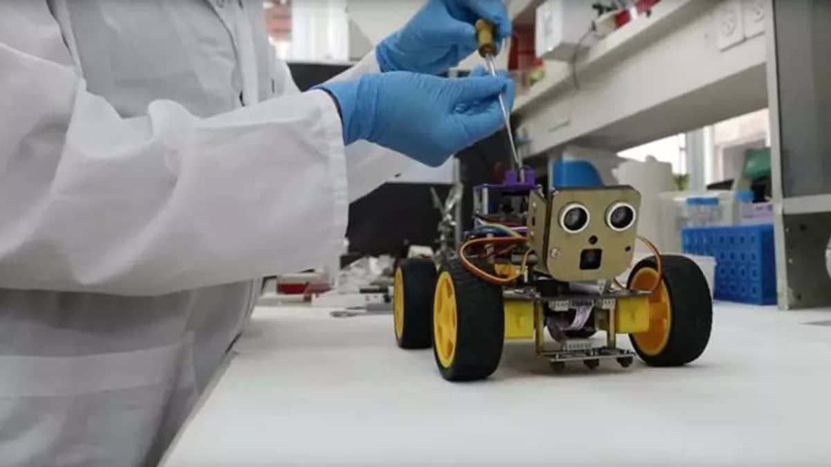 Sensor biológico de inseto permite que robôs identifiquem cheiros