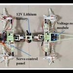Lagarto inspira criação de robô que pode explorar Marte