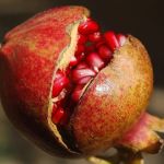 Dia de Reis: aprenda simpatias para atrair boas energias, amor e prosperidade para 2023