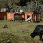 Mineradora perde recurso na Suprema Corte da Inglaterra sobre processo que envolve atingidos em Mariana