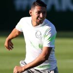 Palmeiras treina de olho no Botafogo e Rony analisa momento do rival